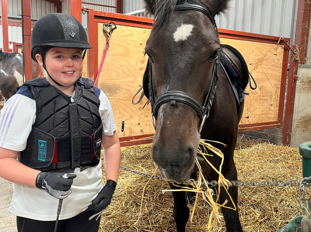 Annaharvey Farm Equestrian Centre-Tullamore必去景点