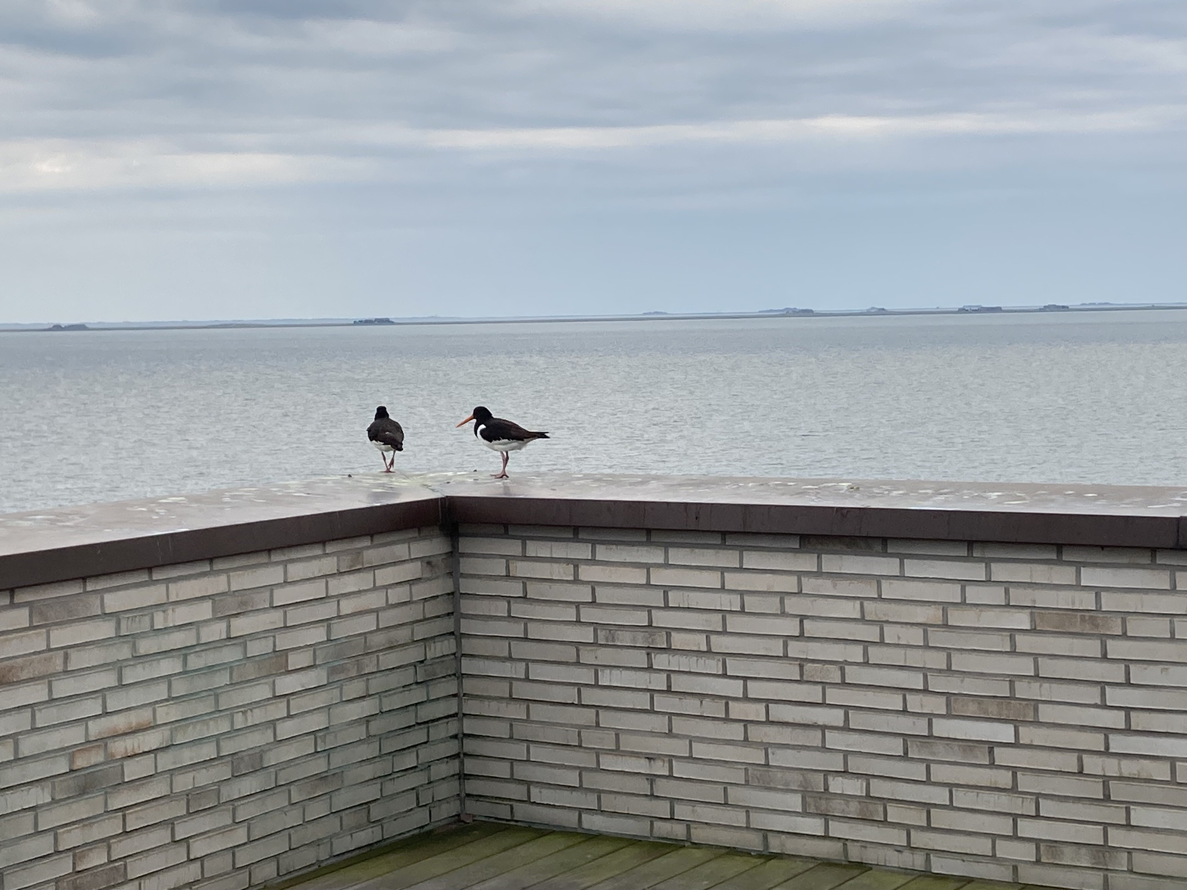 Upstalsboom Wyk Auf Föhr-酒店景观