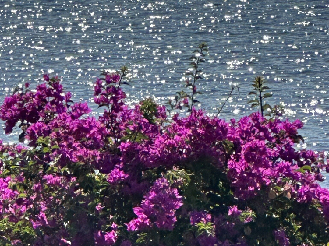 Yakamoz Restaurant & Pension主图