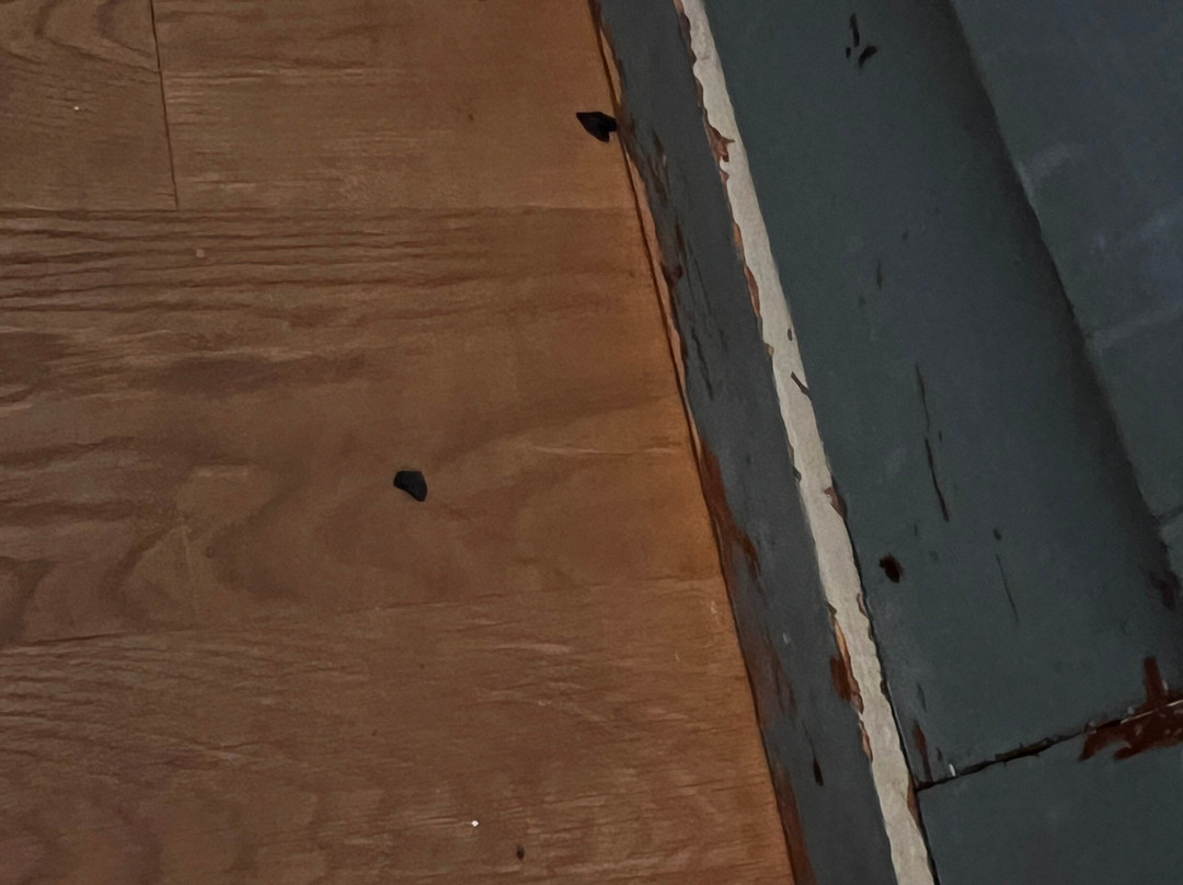 Hotel Schloss Munichau主图