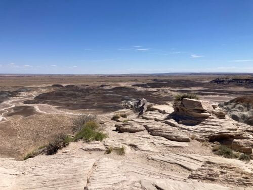 Blue Mesa-石化林国家公园必去景点