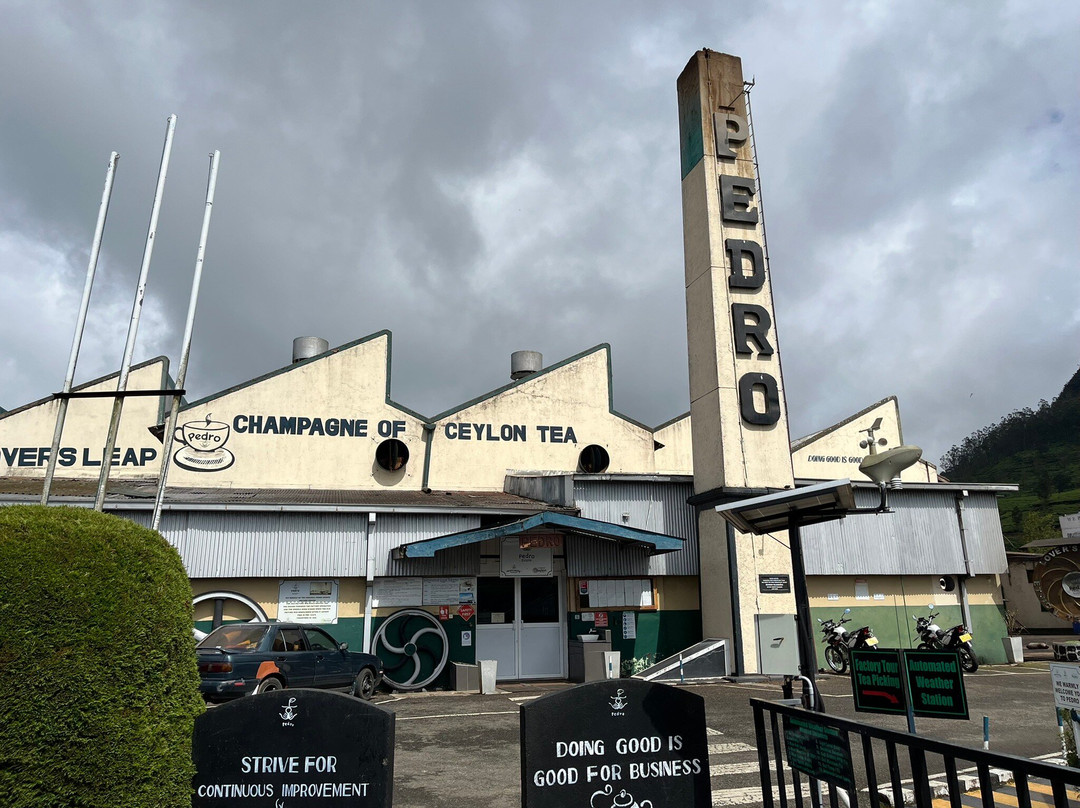 佩德罗茶工厂-奴娃拉伊利雅必去景点