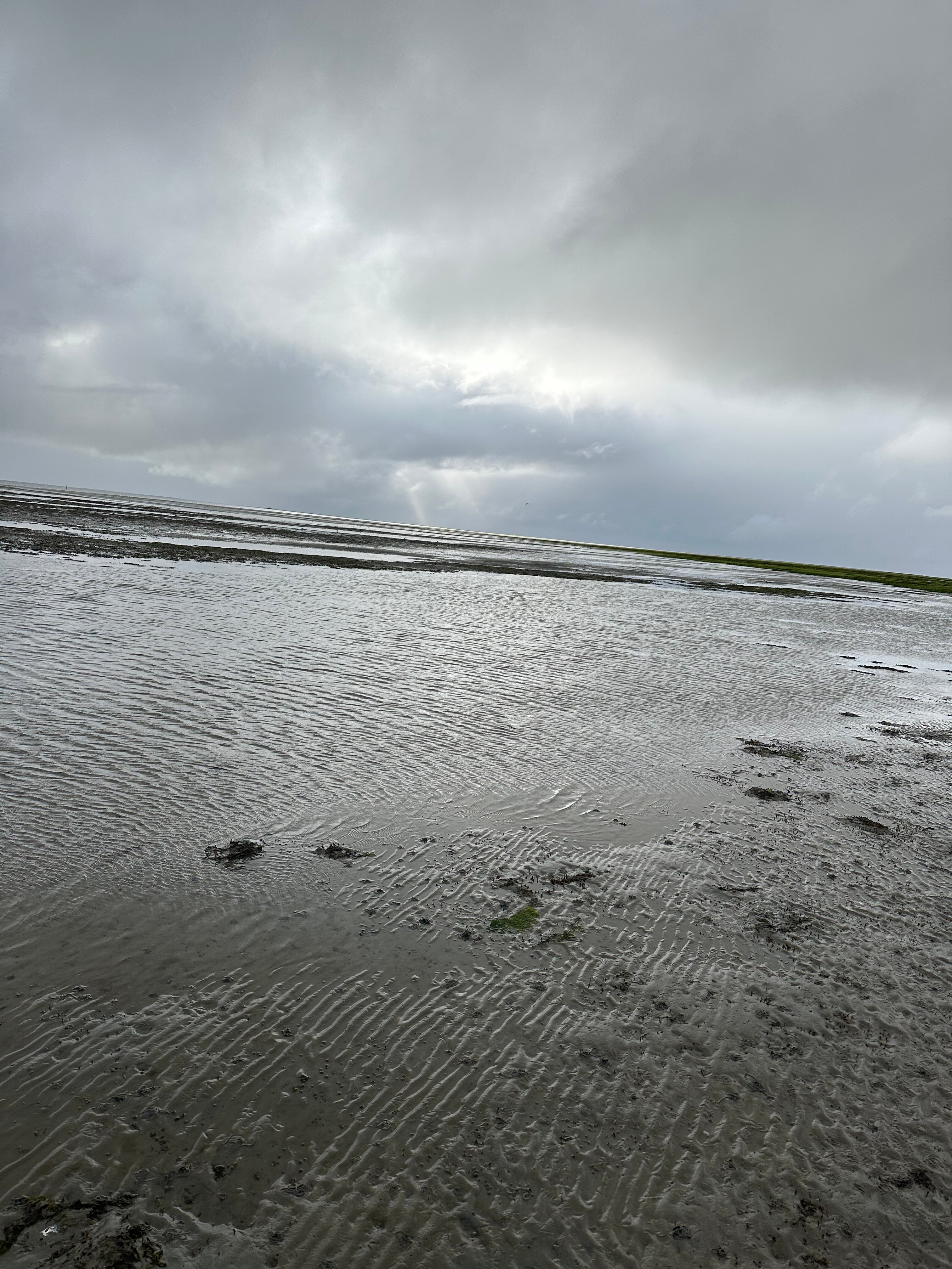 Roompot Kustpark Texel-官方