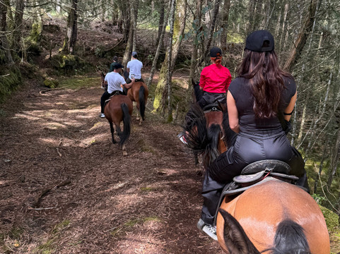 Serenya Reserva Ecuestre