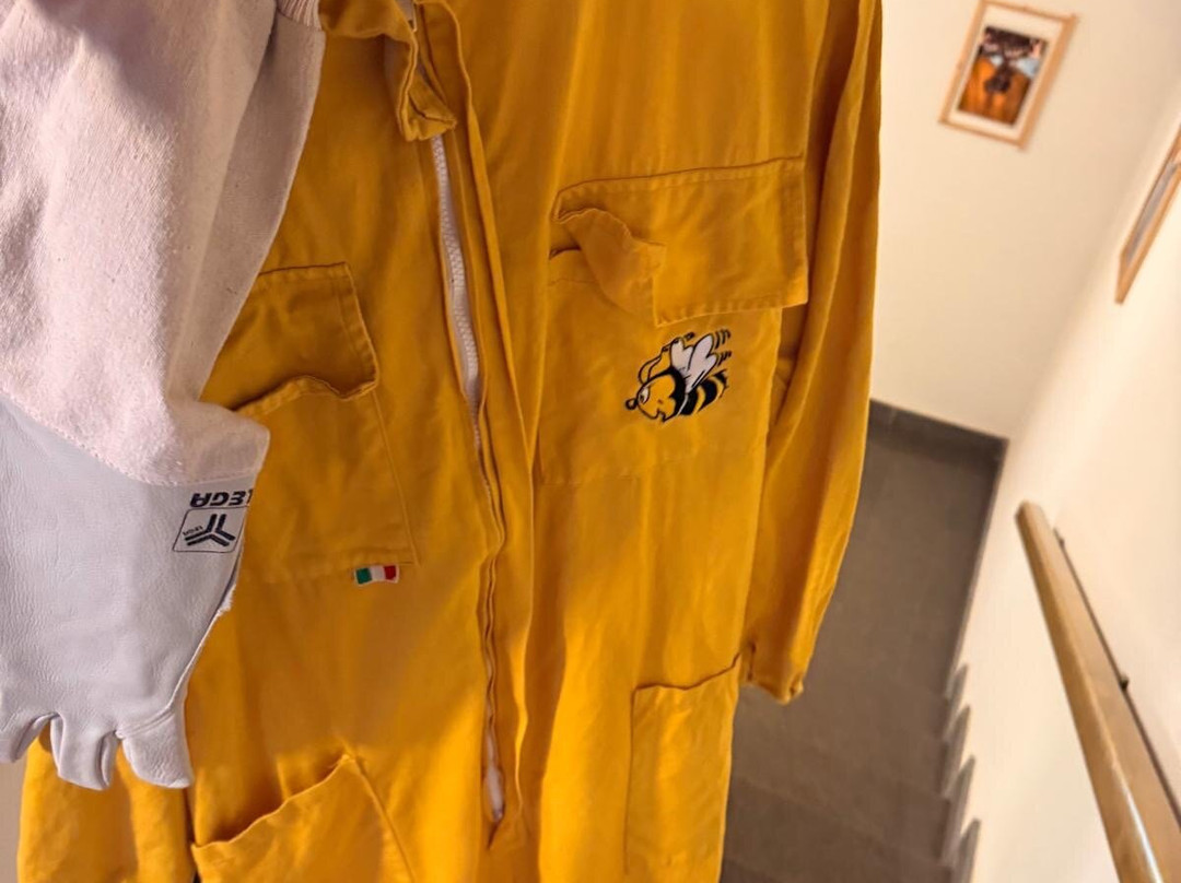 MMape • Mulino Museo dell'ape-Croviana必去景点