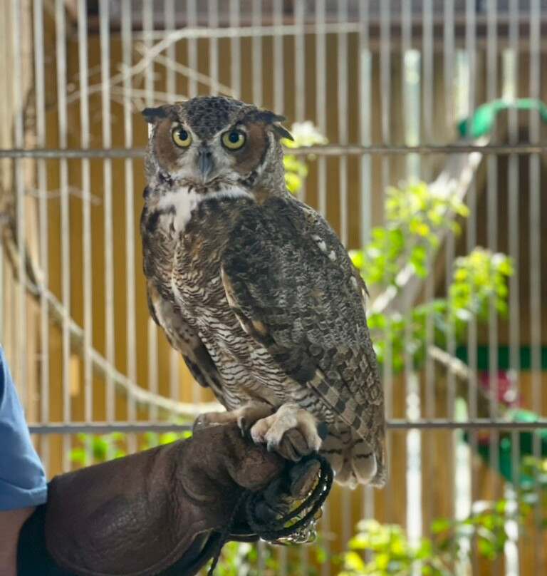 Marine Science Center-Ponce Inlet必去景点