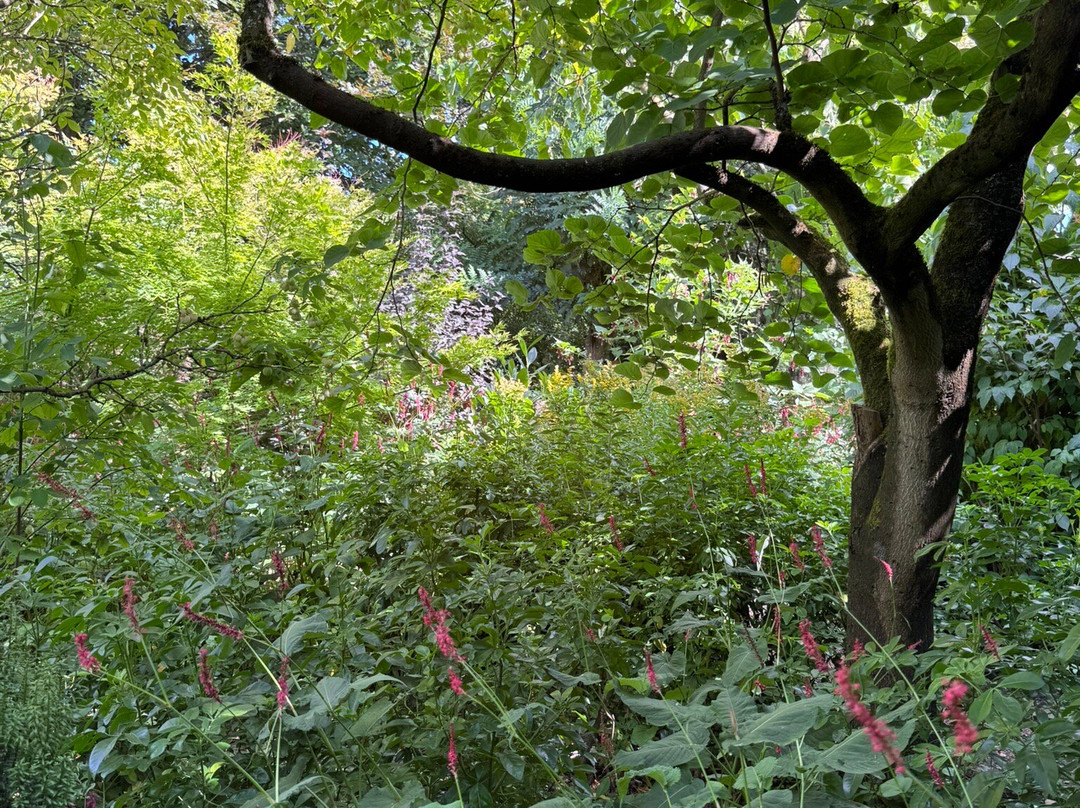 The Hidden Garden-芬洛必去景点