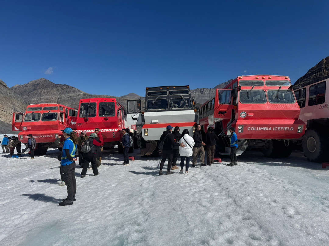 Columbia Icefield Scenic Walks-班夫必去景点