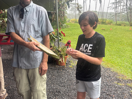 Akamai Adventure Tours & Travel, Llc-火山必去景点