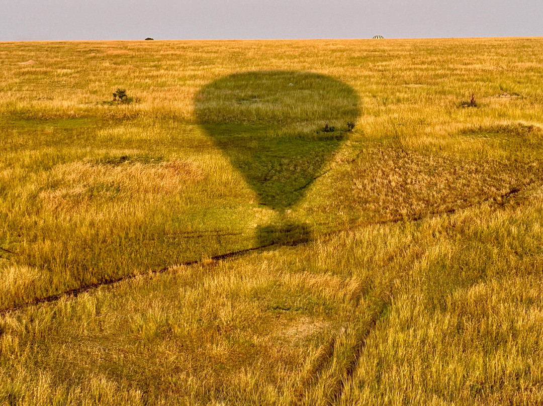 Balloon Safaris Ltd.-马赛马拉国家野生动物保护区必去景点