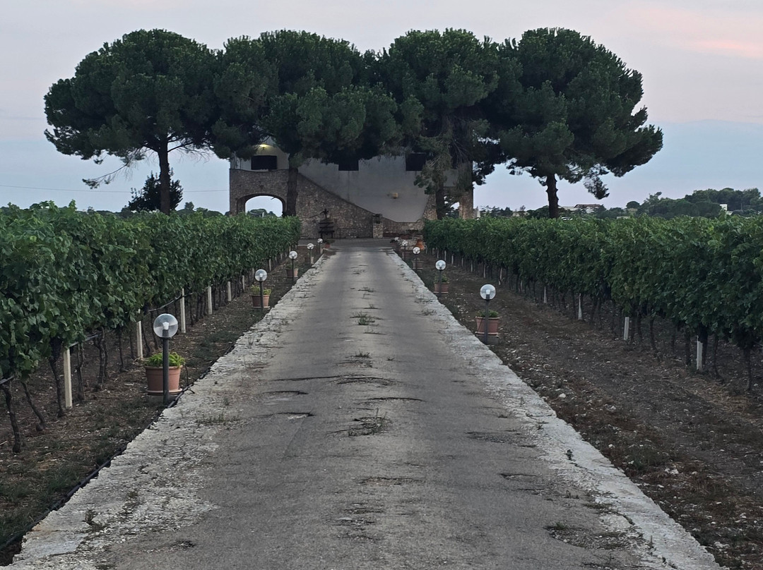 Perla nel Primitivo主图