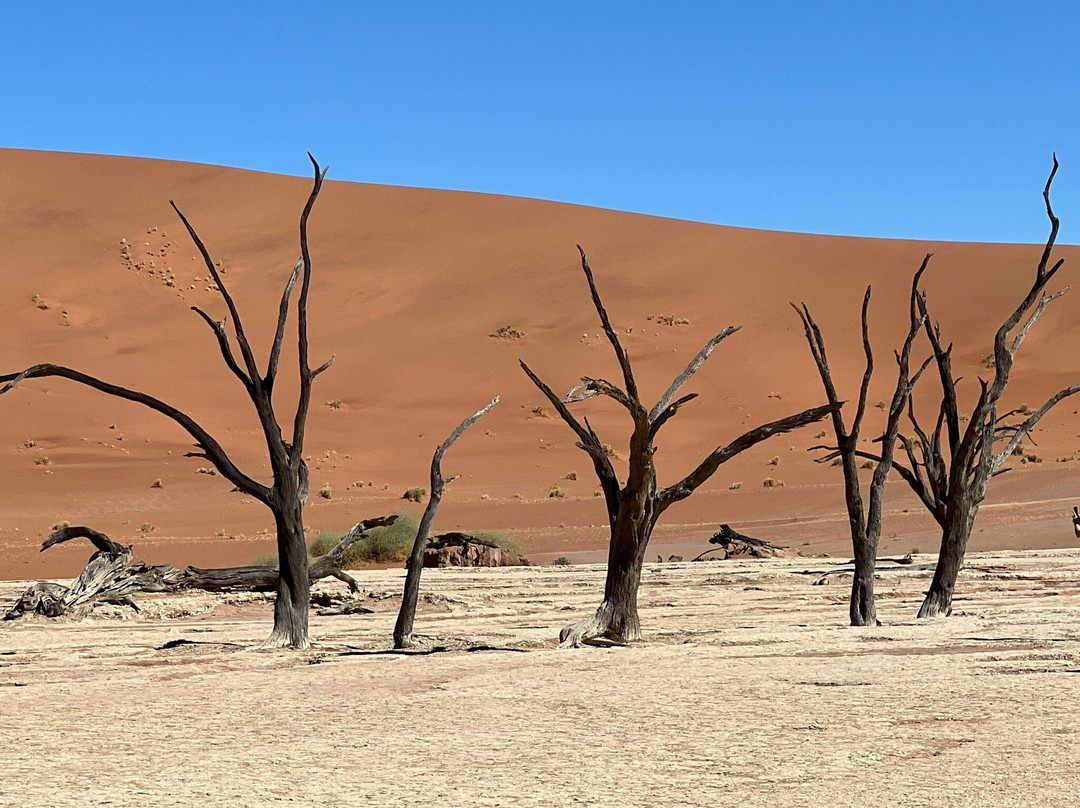Wild Wind Safaris-温德和克必去景点