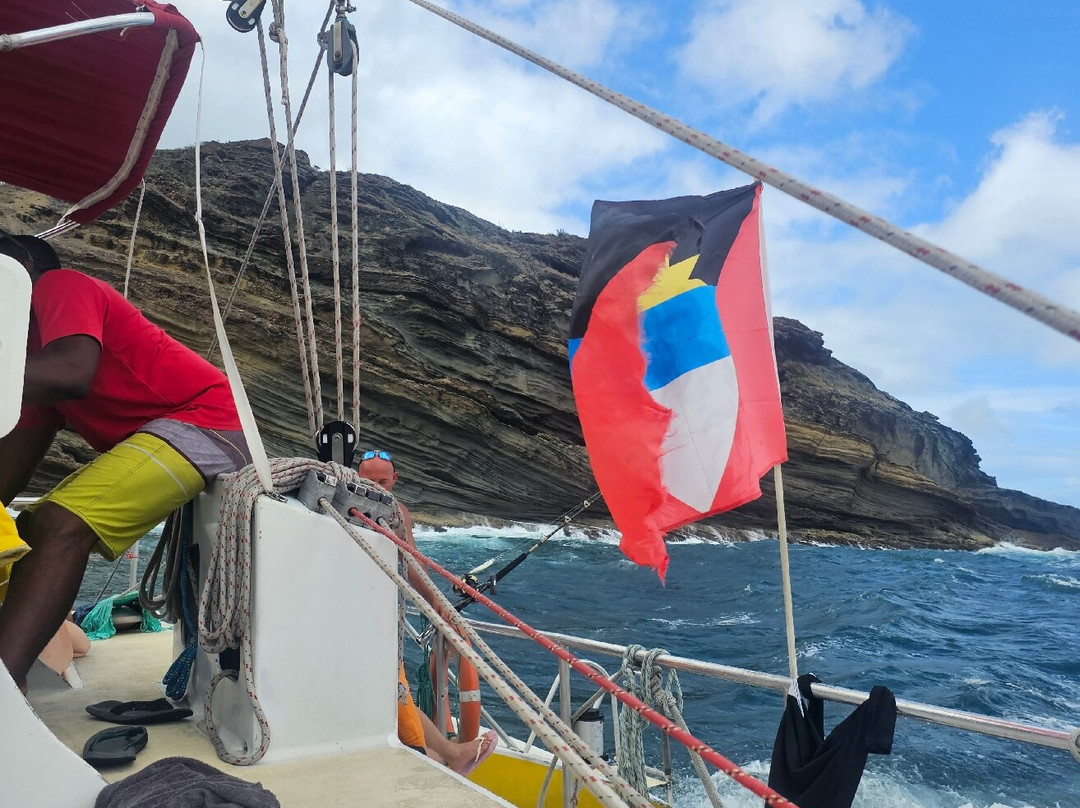 Wadadli Cats-安提瓜必去景点