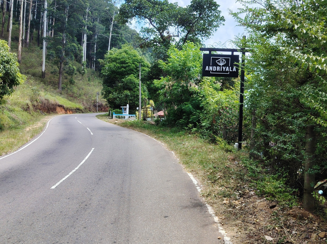 Andriyala主图