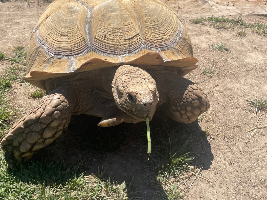D'jango Hill Farm-卡梅尔必去景点