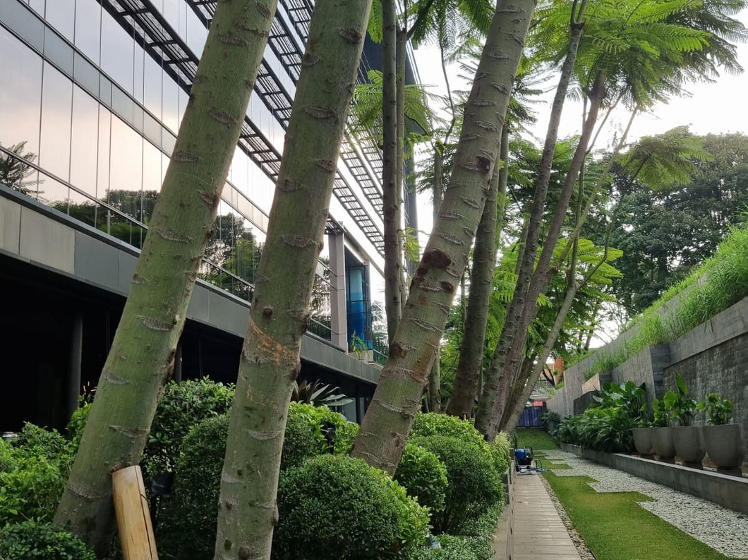 Padma Hotel Semarang主图