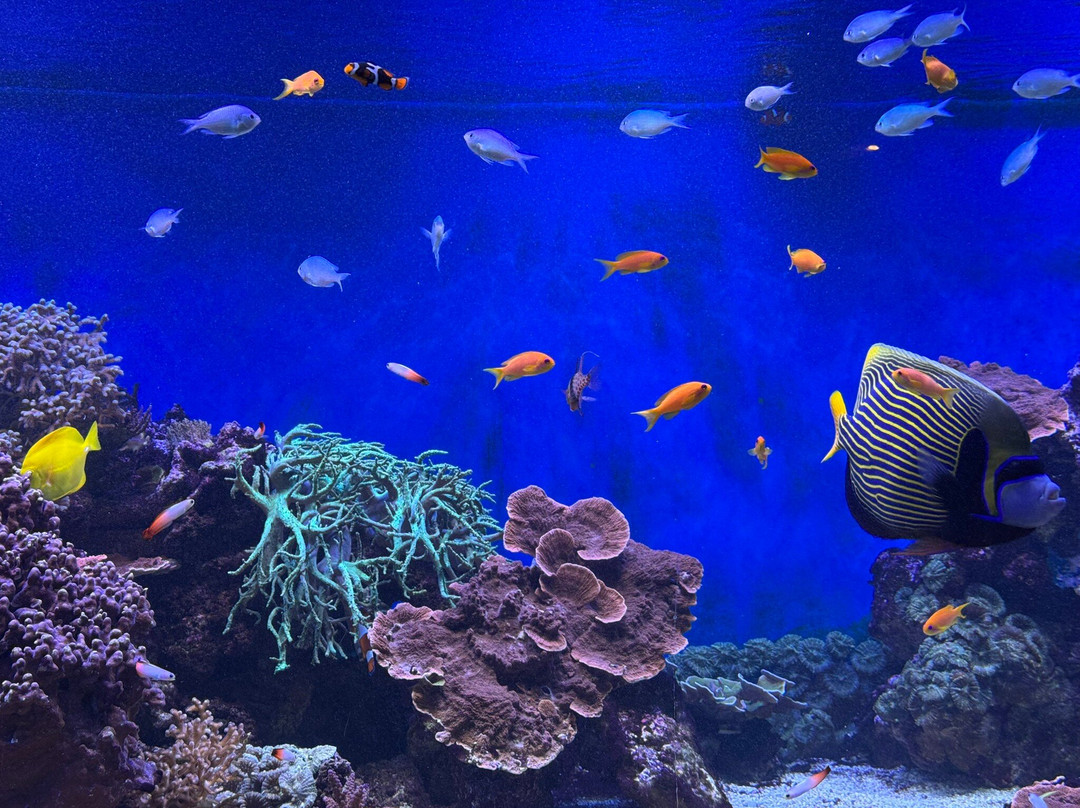 Kattegatcentret-格林纳必去景点