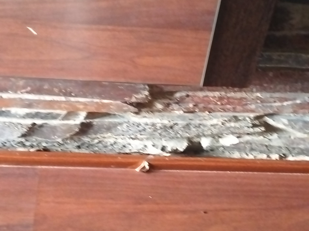 Hospederia Parque De Monfrague主图