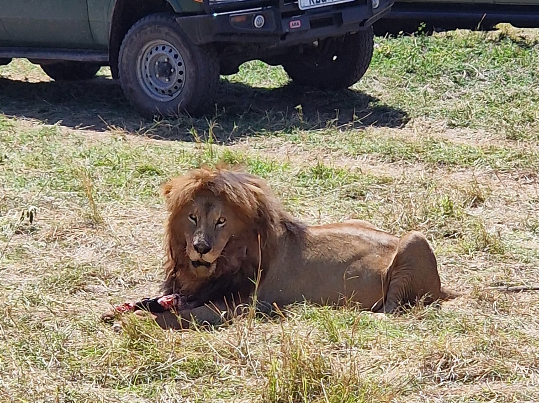Leopard Orchid Safaris-内罗毕必去景点