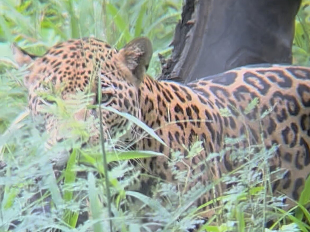 Centro de Rescate Las Pumas-Canas必去景点