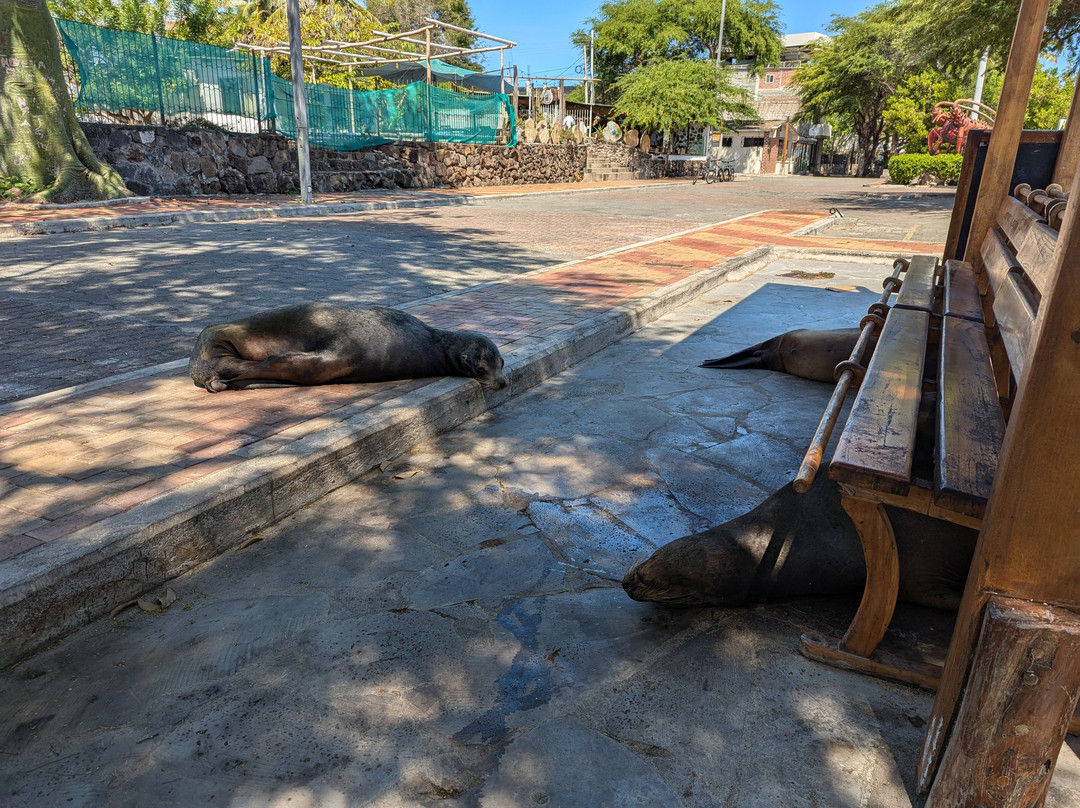 Playa de Oro-Puerto Baquerizo Moreno必去景点