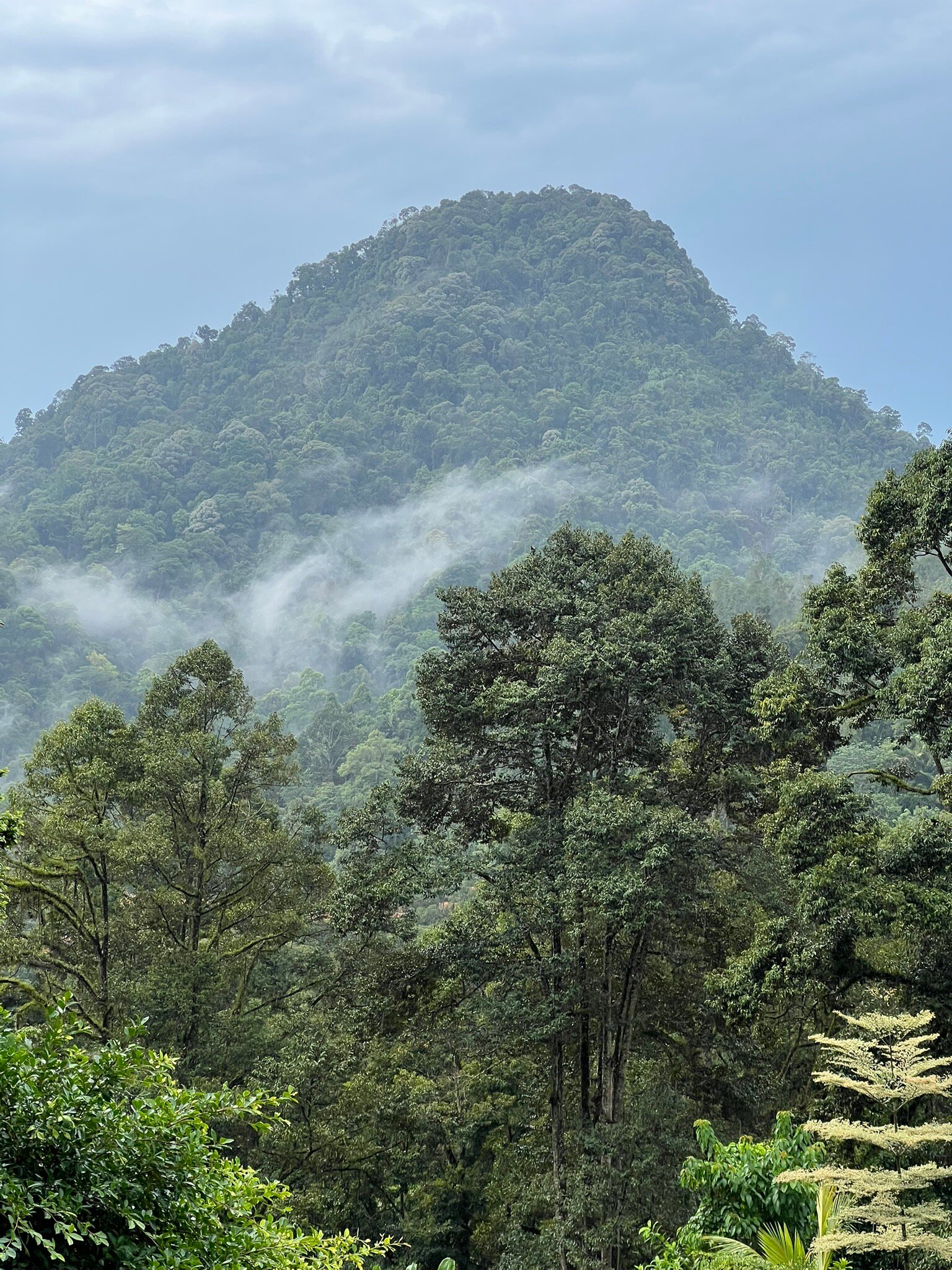 Adeline Villa & Rest House-官方