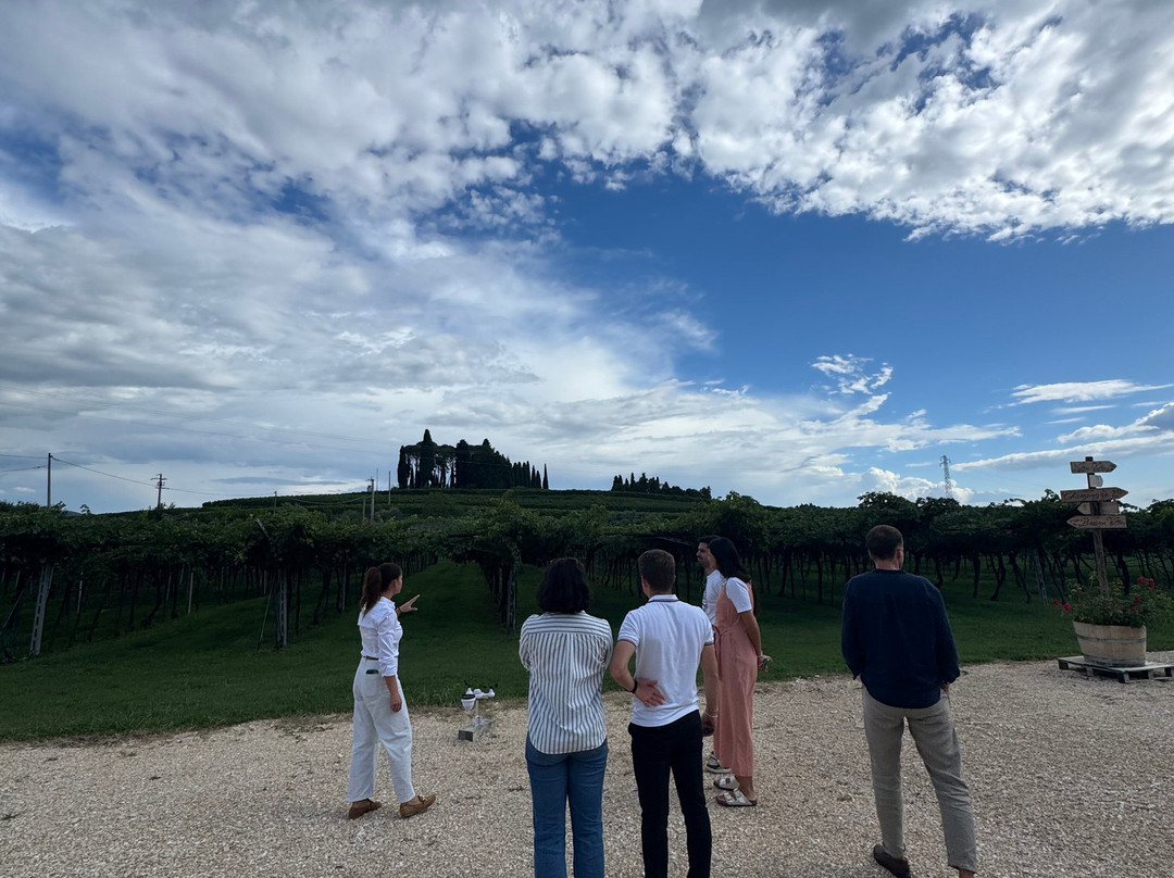 Agricola Pietro Zardini-San Pietro in Cariano必去景点