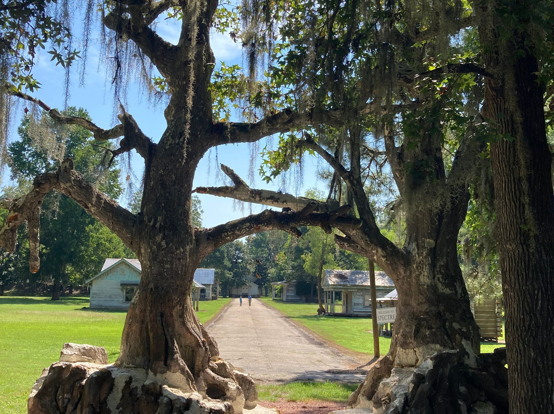 Jackson Lake Island-Millbrook必去景点