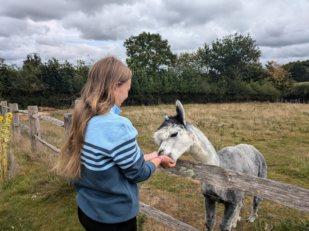 Fisherwood farm-Robertsbridge必去景点