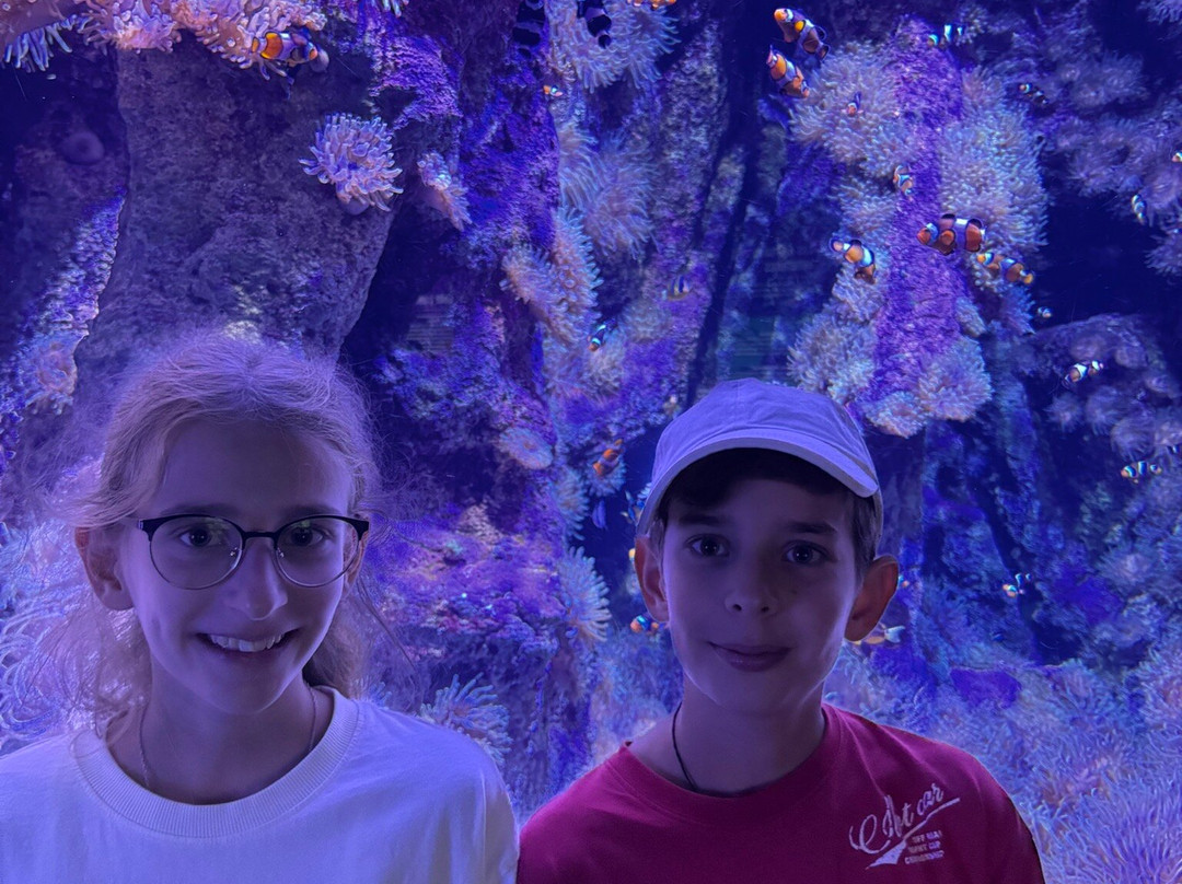 Bioparc Acuario De Gijón-希洪必去景点