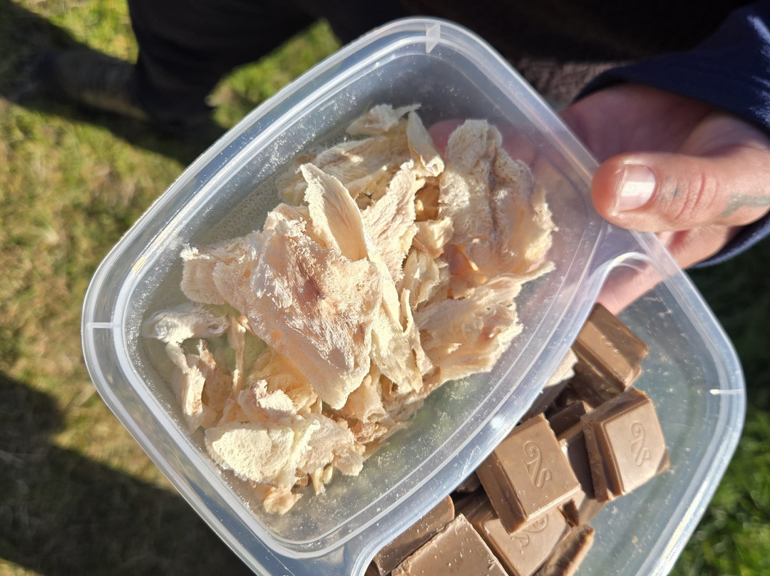 Eastfjords Adventures-塞济斯菲厄泽必去景点