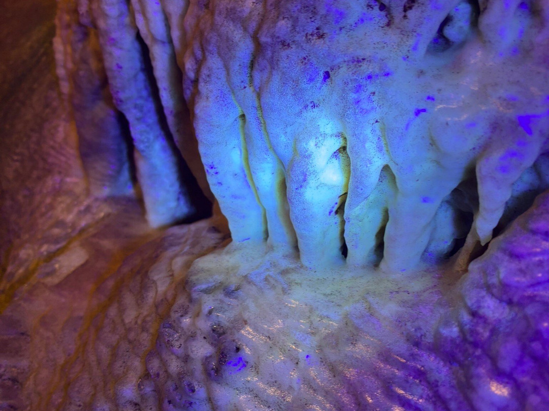 Stump Cross Caverns-Pateley Bridge必去景点