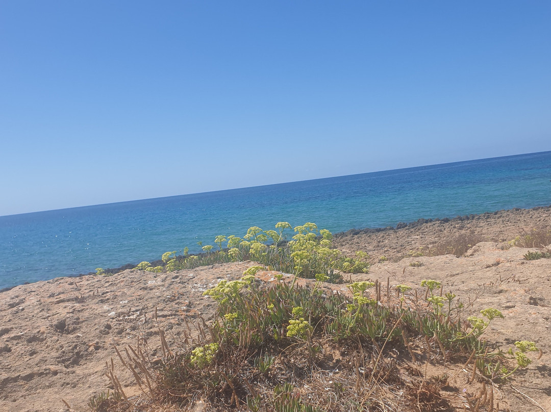 B&B Sole Luna e Girasoli主图