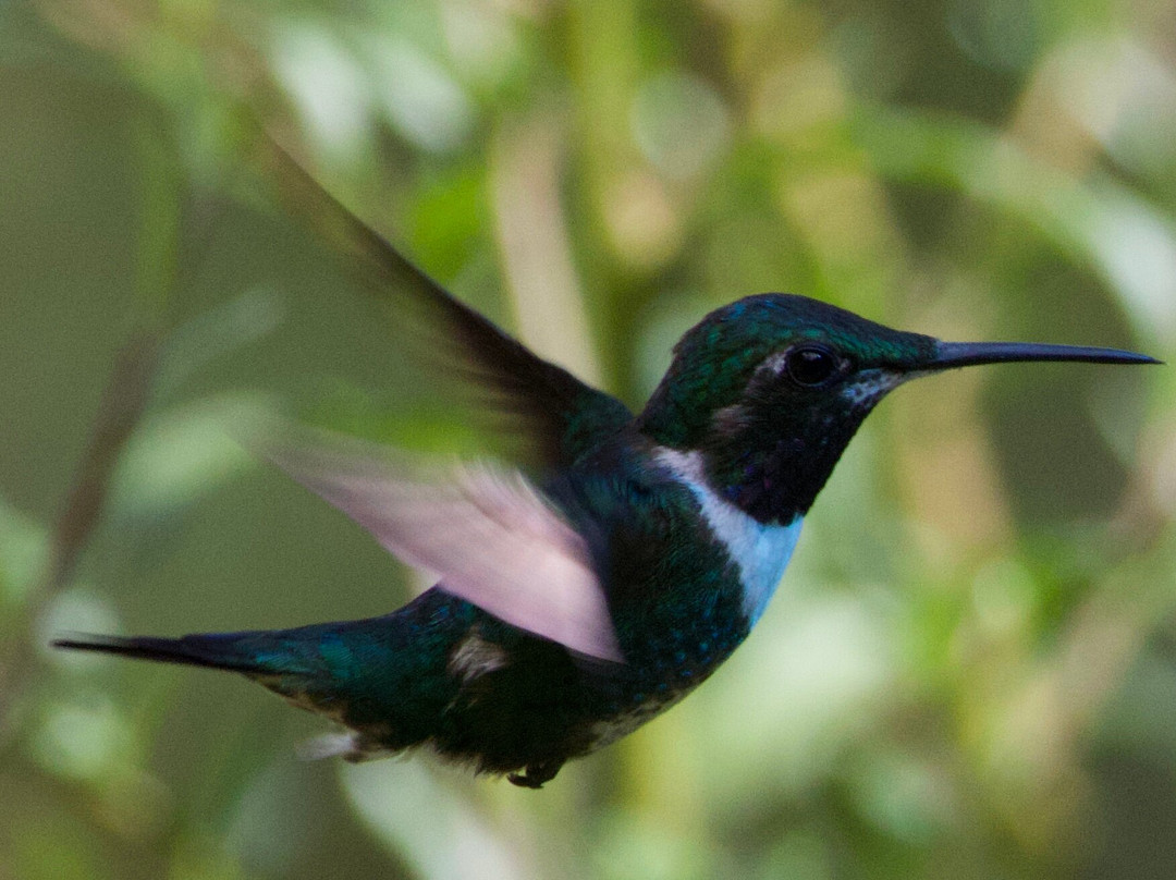 Private Tours Peru-乌鲁班巴必去景点