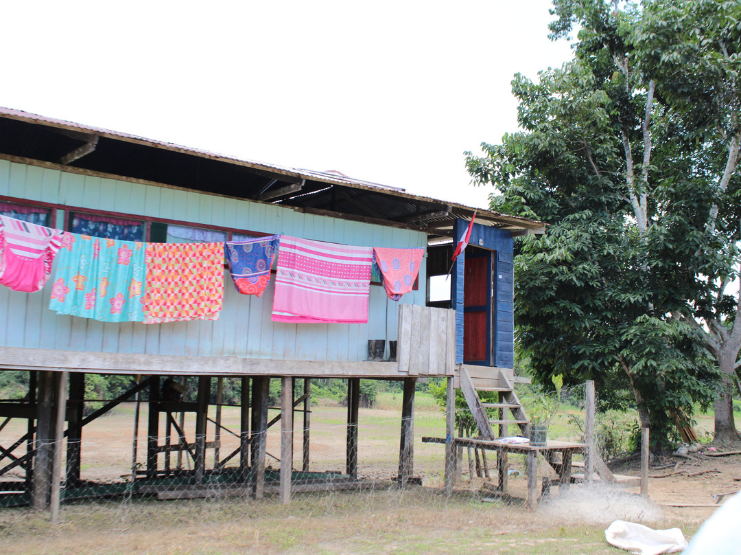 Expeditions George of the Jungle-莱蒂西亚必去景点