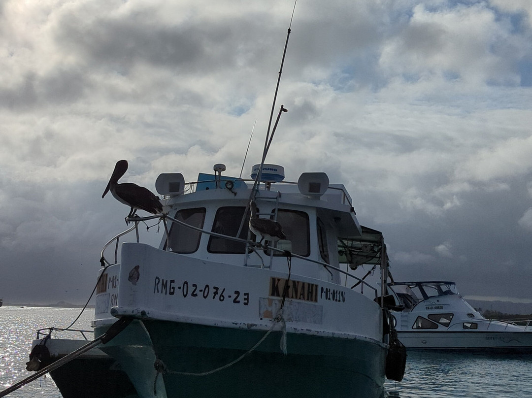 Las Tintoreras-维里亚米尔港必去景点