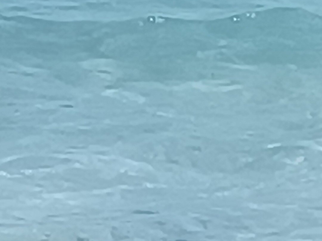 Spiaggia San Cataldo-San Cataldo必去景点