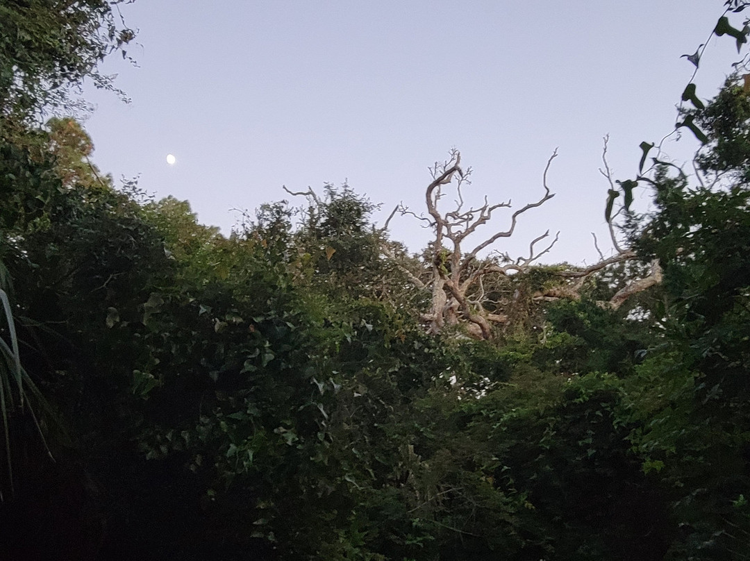 Driftwood Beach-吉柯岛必去景点
