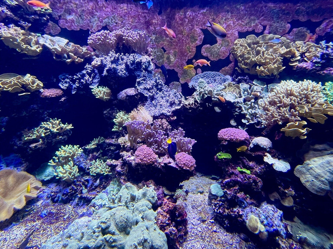Planet Ocean Montpellier-蒙彼利埃必去景点