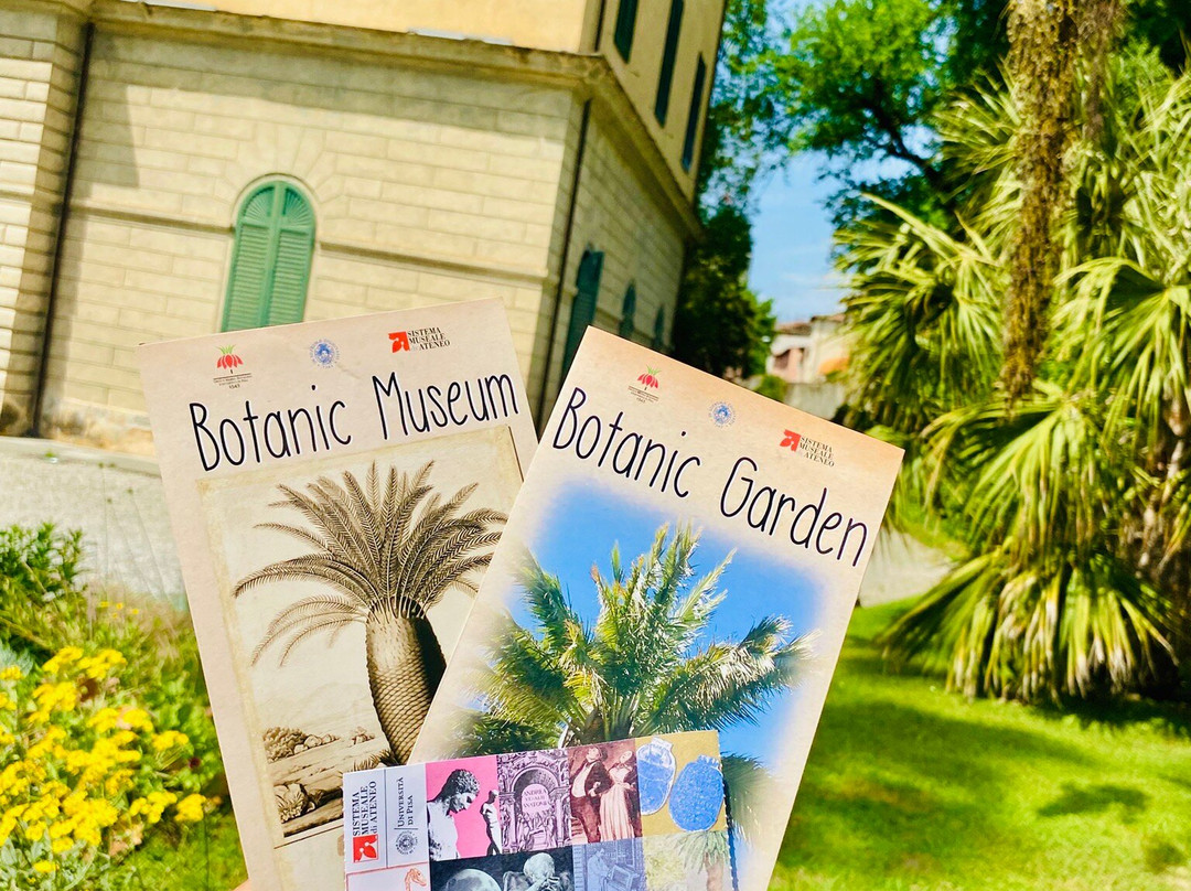 Orto e Museo Botanico di Pisa-比萨必去景点