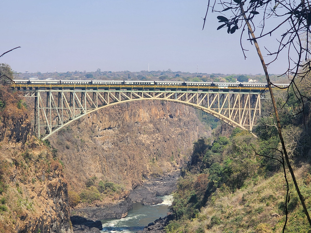 Bushtracks Africa Day Tours-李文斯顿必去景点