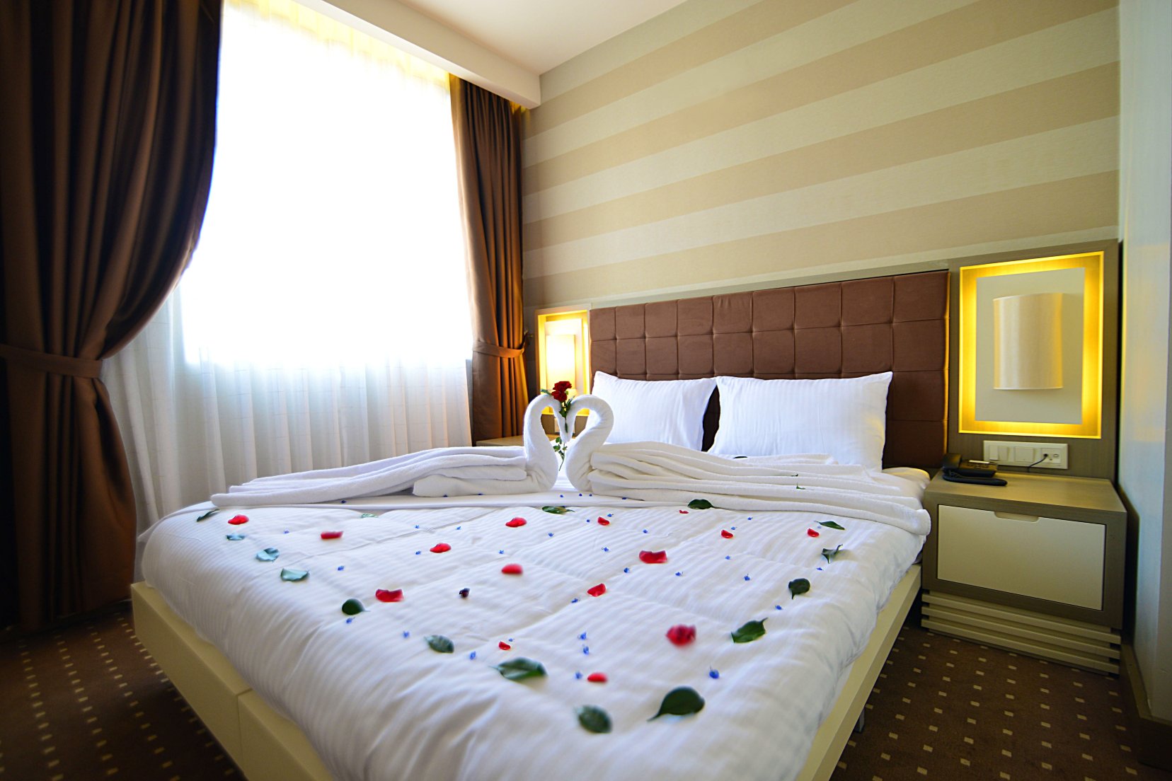 皇家之星住宿加早餐旅馆-客卧