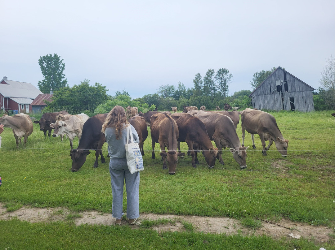 Fromagerie des Grondines