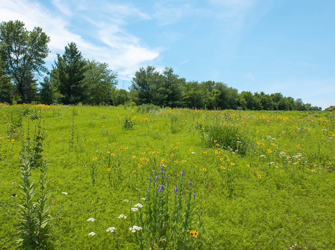 Arbor Lodge State Historical Park-Nebraska City必去景点