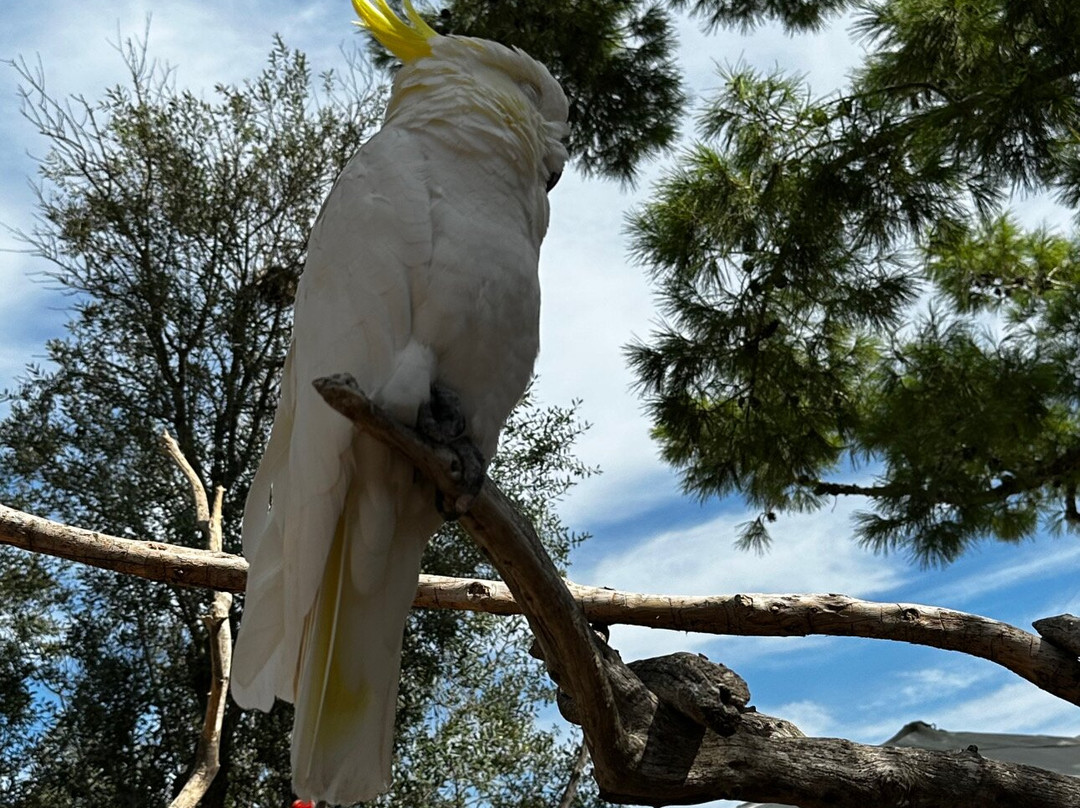 Rancho Grande Park-Son Serra de Marina必去景点