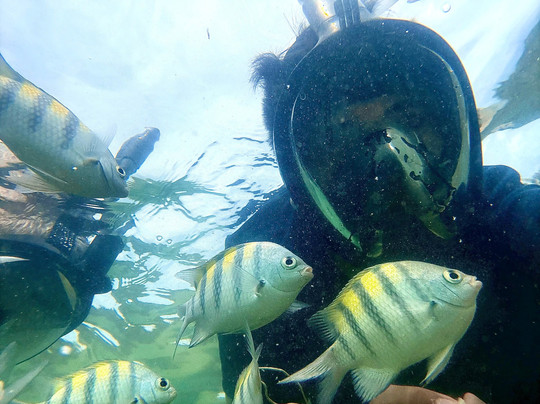 Pernambucando Turismo.-嘎林海斯港必去景点