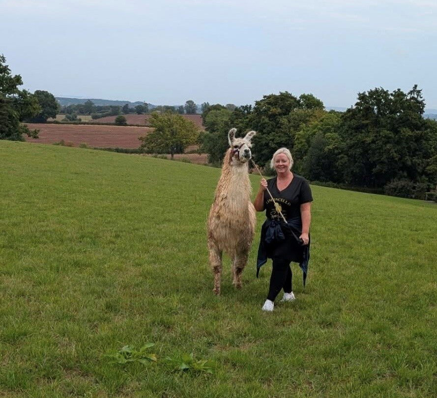 Briery Hill Llamas-Kilcot必去景点