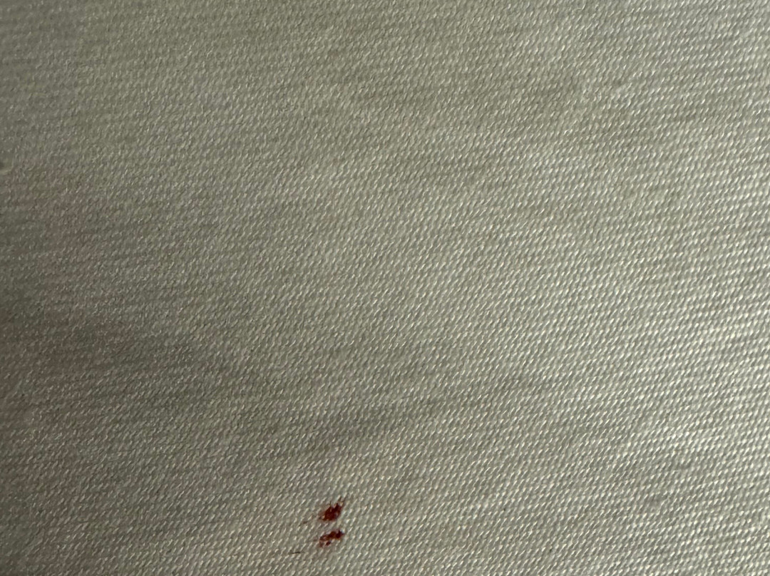 Best Western Bridgeview Hotel主图