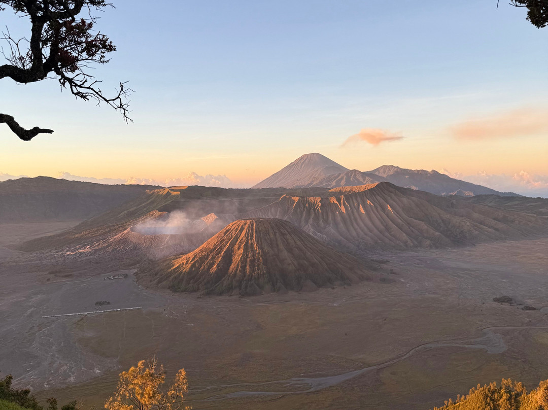 Maytrip Tour-泗水必去景点