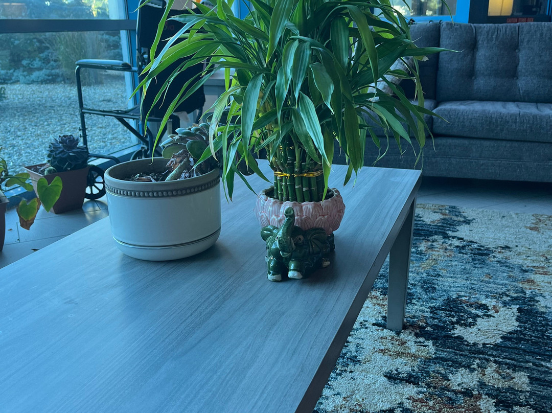 Wyndham Flint MI/Grand Blanc/Bishop Airport/Conference Ctr主图